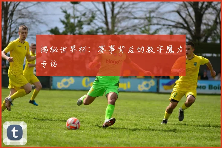 揭秘世界杯：赛事背后的数字魔力专访