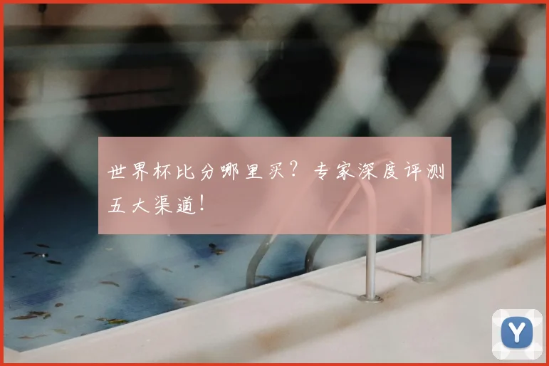 世界杯比分哪里买？专家深度评测五大渠道！