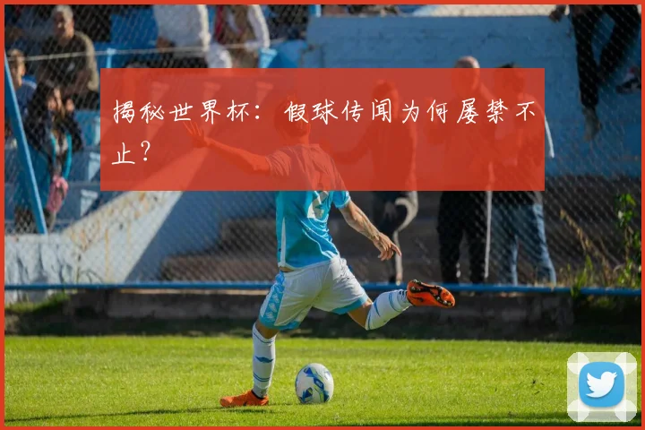 揭秘世界杯：假球传闻为何屡禁不止？