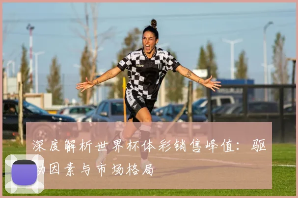 深度解析世界杯体彩销售峰值：驱动因素与市场格局