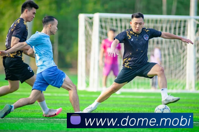 华体网首页官网APP 高清赛事图